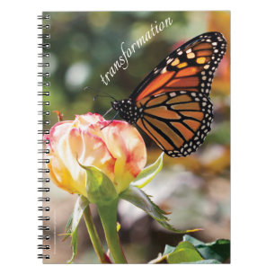 Orange Butterfly on Rose - Spiral Notebook