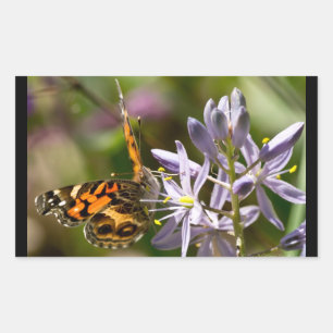 Orange Butterfly on Wild Hyacinth Apparel & Gifts Rectangular Sticker