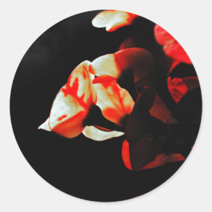 Orange Cactus Flower Classic Round Sticker
