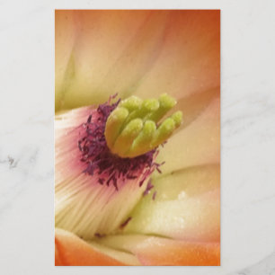 Orange Cactus Flower Stationery