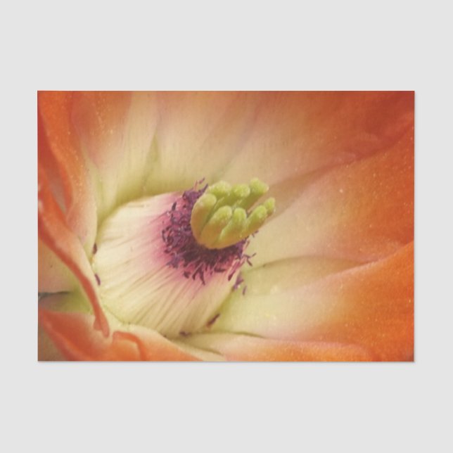 Orange Cactus Flower Tissue paper (Front)
