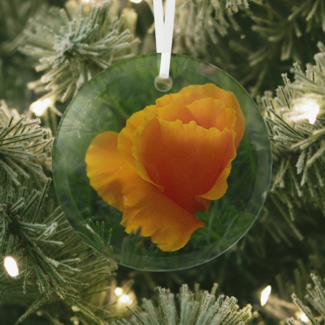 Orange California Poppy Floral Photo Glass Tree Decoration (Insitu)