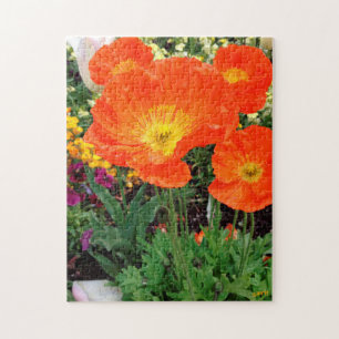 Orange California Poppy Flowers Jigsaw Puzzle
