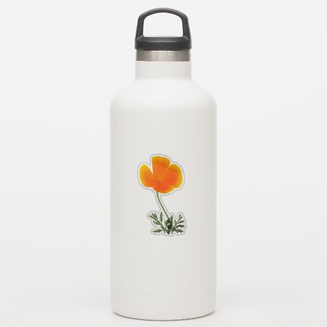 orange Californian poppy (Waterbottle)