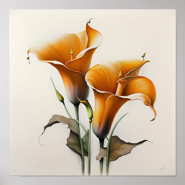 Orange Calla Lilies Lily Flower Art Print Poster  (Front)