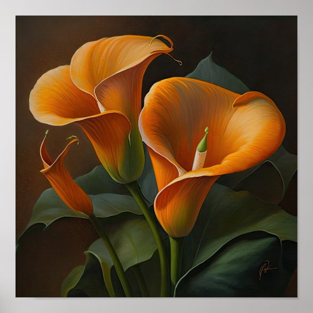 Orange Calla Lilies Lily Flower Art Print Poster (Front)