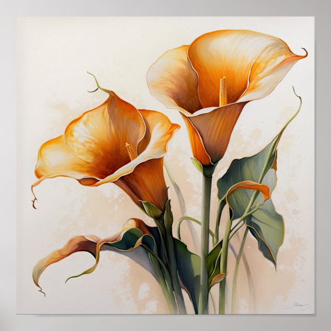 Orange Calla Lilies Lily Flower Art Print Poster (Front)