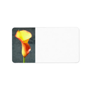 Orange Calla Lily Label