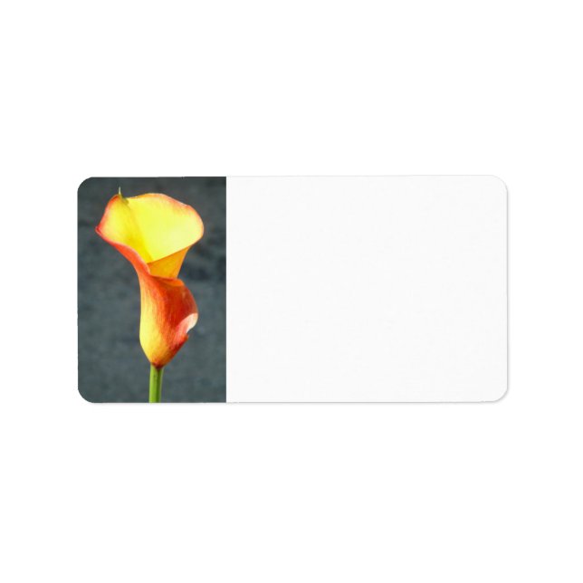 Orange Calla Lily Label (Front)