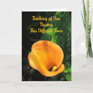 Orange Calla Lily Thinking of You Sympathy Card