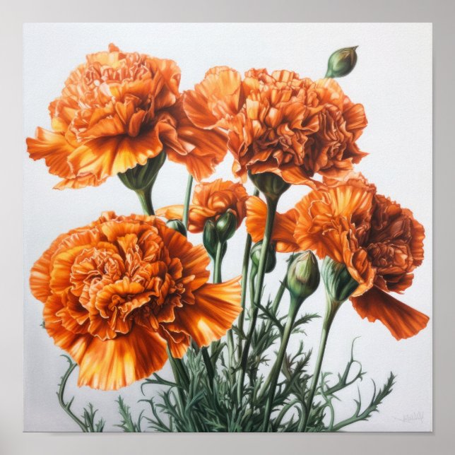 Orange Carnations Flower Art Print Poster (Front)