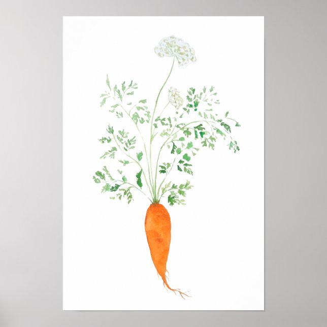 orange carrot  watercolor  poster (Front)