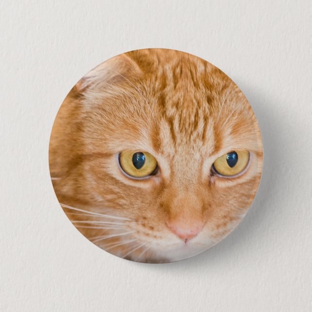 Orange cat 6 cm round badge (Front)