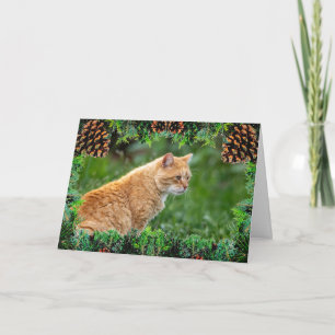 Orange Cat Christmas Card