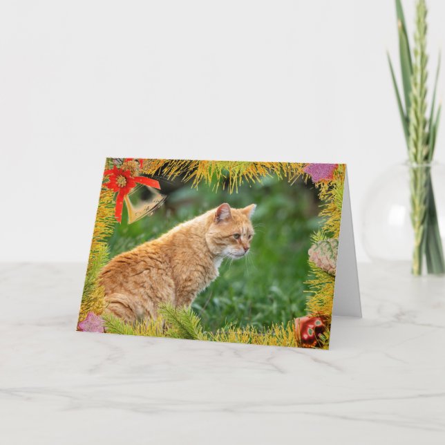 Orange Cat Christmas Card (Front)