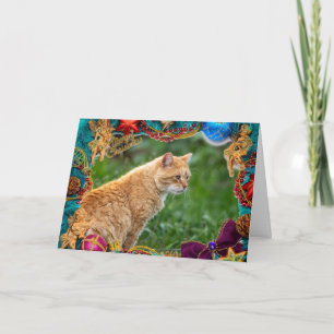 Orange Cat Christmas Card