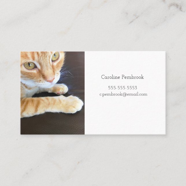 Orange cat closeup business card (Front)