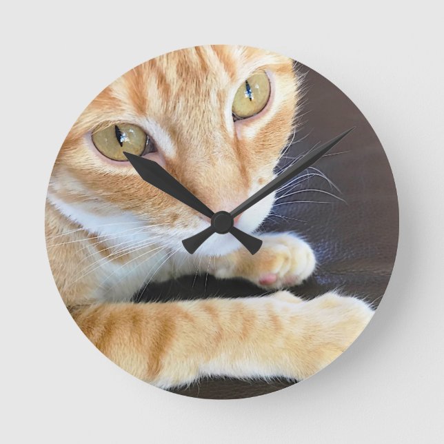 Orange cat closeup round clock (Front)