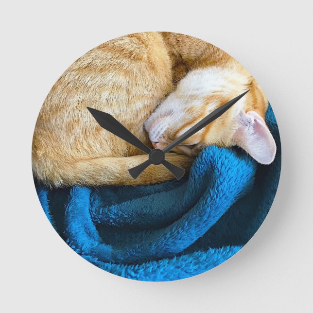 Orange cat curled up on blanket round clock (Front)