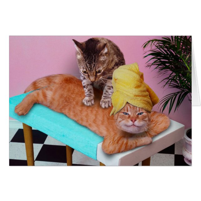 Orange cat enjoying a massage by a cat (Front Horizontal)