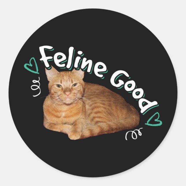 Orange Cat - Feline Good Pun Classic Round Sticker (Front)