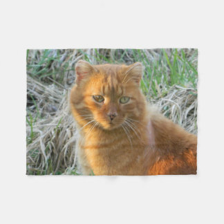 orange cat fleece blanket