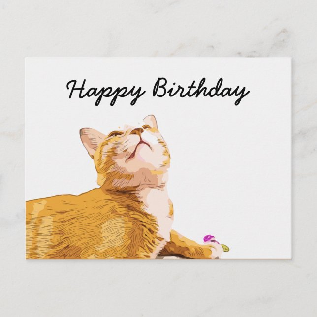 Orange cat is on white background birthday postcard (Front)