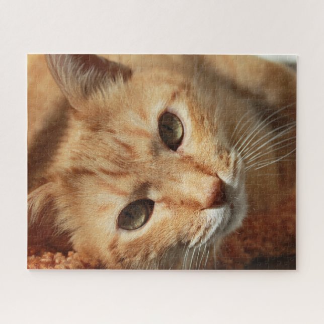 Orange Cat Jigsaw Puzzle (Horizontal)