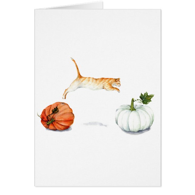 Orange Cat Jumping Between Pumpkins (Front)