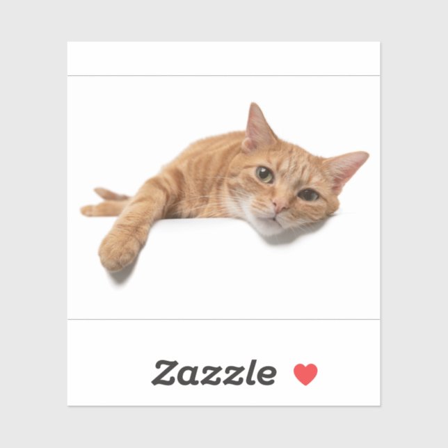 Orange Cat Laying Down (Sheet)