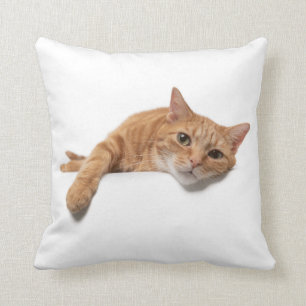 Orange Cat Laying Down Cushion