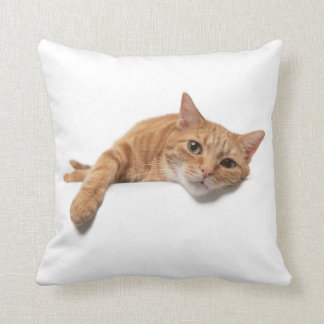 Orange Cat Laying Down Cushion