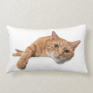 Orange Cat Laying Down Lumbar Cushion