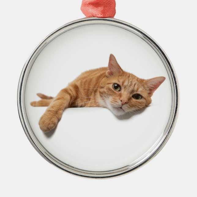 Orange Cat Laying Down Metal Ornament (Front)