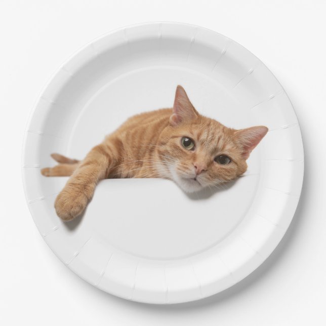 Orange Cat Laying Down Paper Plate (Front)