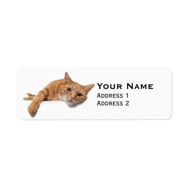 Orange Cat Laying Down Return Address Label (Front)