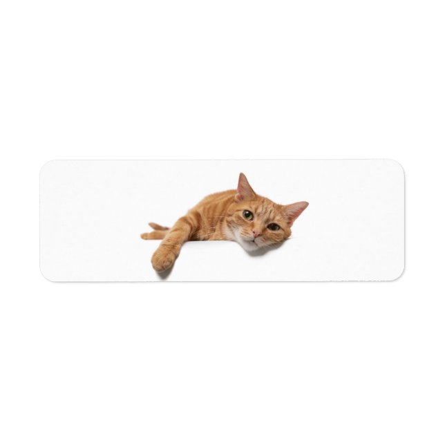 Orange Cat Laying Down Return Address Label (Front)