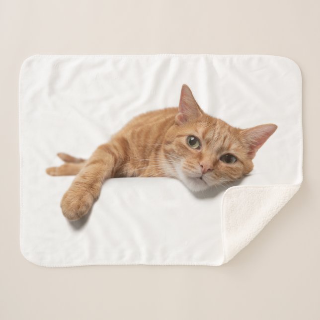 Orange Cat Laying Down Sherpa Blanket (Front (Horizontal))