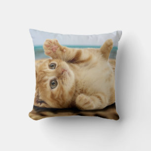Orange cat lying on the sand cushion