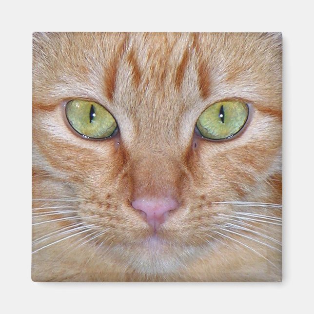 Orange Cat Magnet (Front)