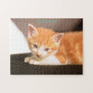 Orange Cat on black ottoman/Orange Kitten Jigsaw Puzzle