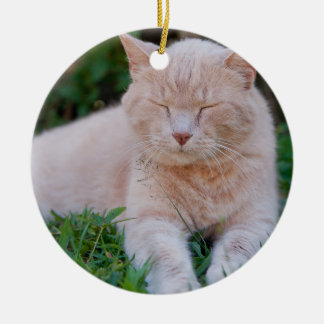 Orange Cat Ornament