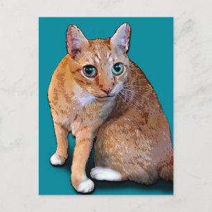 Orange Cat Postcard