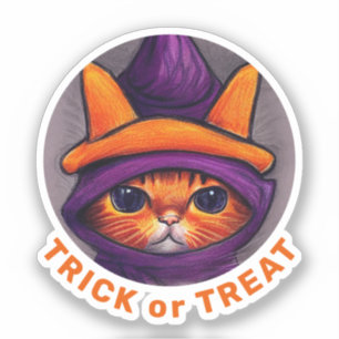 Orange Cat Purple Witch Hat Trick Treat Halloween