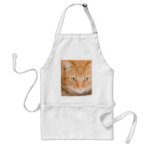 Orange cat standard apron
