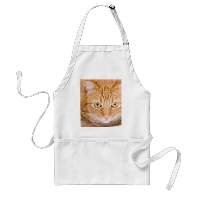 Orange cat standard apron (Front)