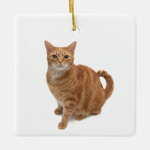 Orange Cat Standing Ceramic Ornament