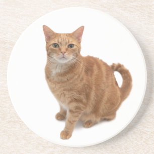 Orange Cat Standing Coaster
