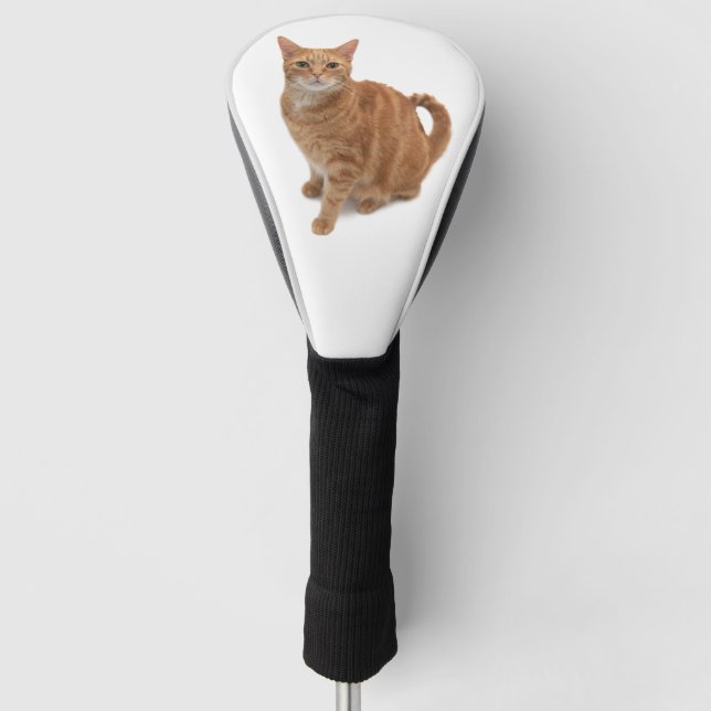 Orange Cat Standing Golf Head Cover (Front)