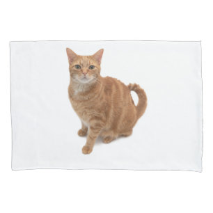 Orange Cat Standing Pillowcase